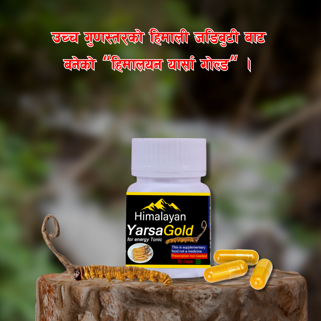 Himalayan YarsaGold For Energy Tonic(30 Caps)