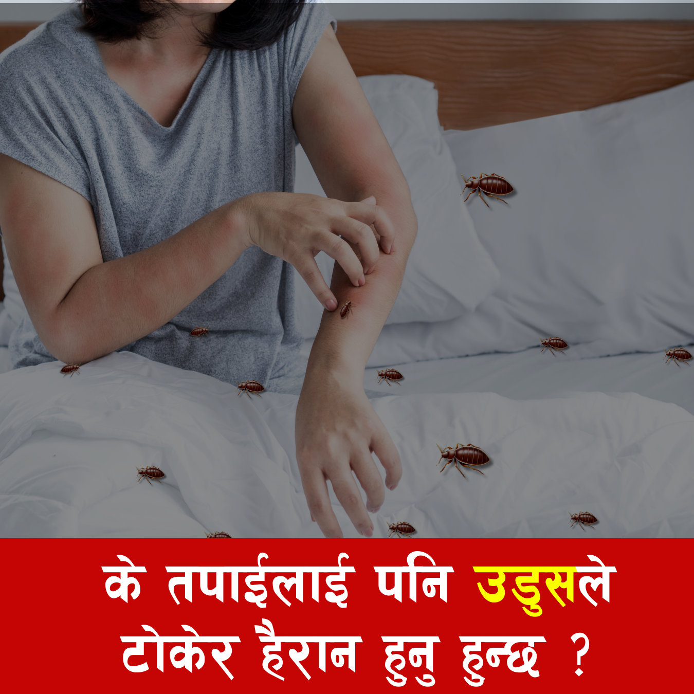 उडुस मार्ने BED BUG हर्बल स्प्रे
