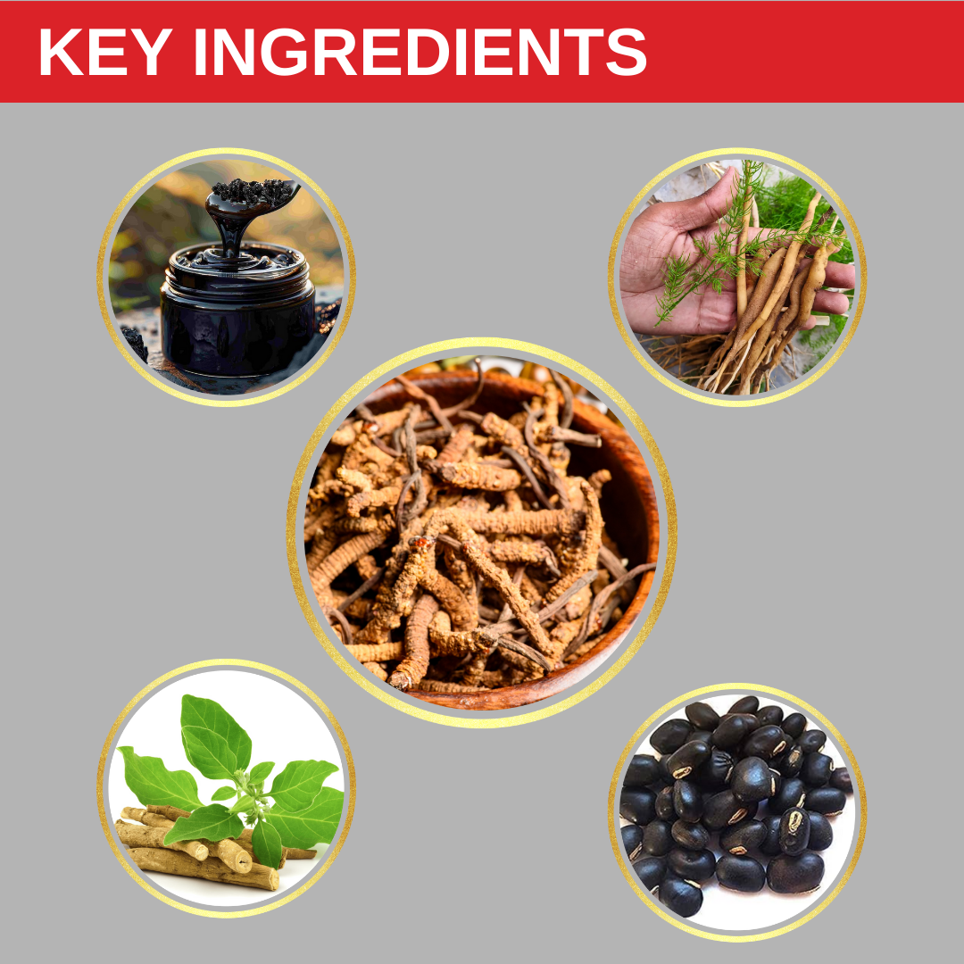 Himali YarsaPlus For Energy Tonic(30 caps)